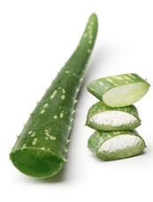 Aloe
