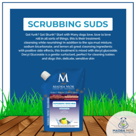 Scrubbing Suds 1 Pail 7lbs3oz/3.28L